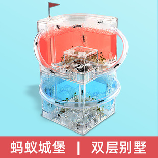 蚂蚁工坊别墅家园蚂蚁城堡生态箱学生蚁巢小宠物活体弓背蚁后盒子