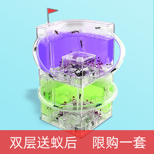 蚂蚁工坊庄园 家园蚂蚁城堡别墅宫殿蚁窝送蚁后山庄王国生态宠物