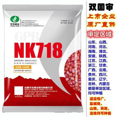 丰乐nk718g高产玉米种子大棒抗锈