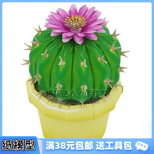 3D纸模型手工diy礼物 仿真植物 眩美玉