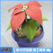 3D纸模型手工diy礼物 超逼真 植物 圣诞花