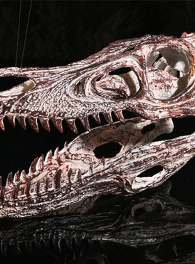 骷髅头恐龙橱窗道具树脂工艺品