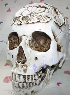 仿真模型骷髅头异形美术临摹摆件