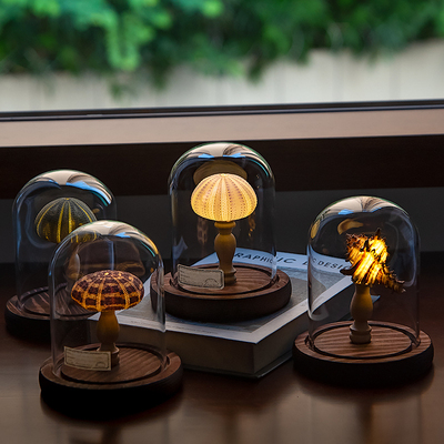 DIY手工海胆海螺灯小夜灯