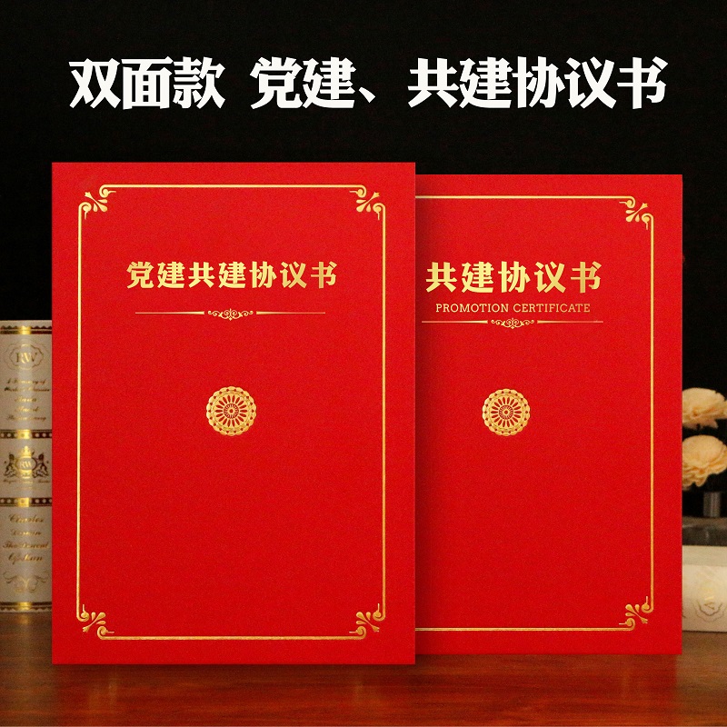 凌信双面款党建共建协议书