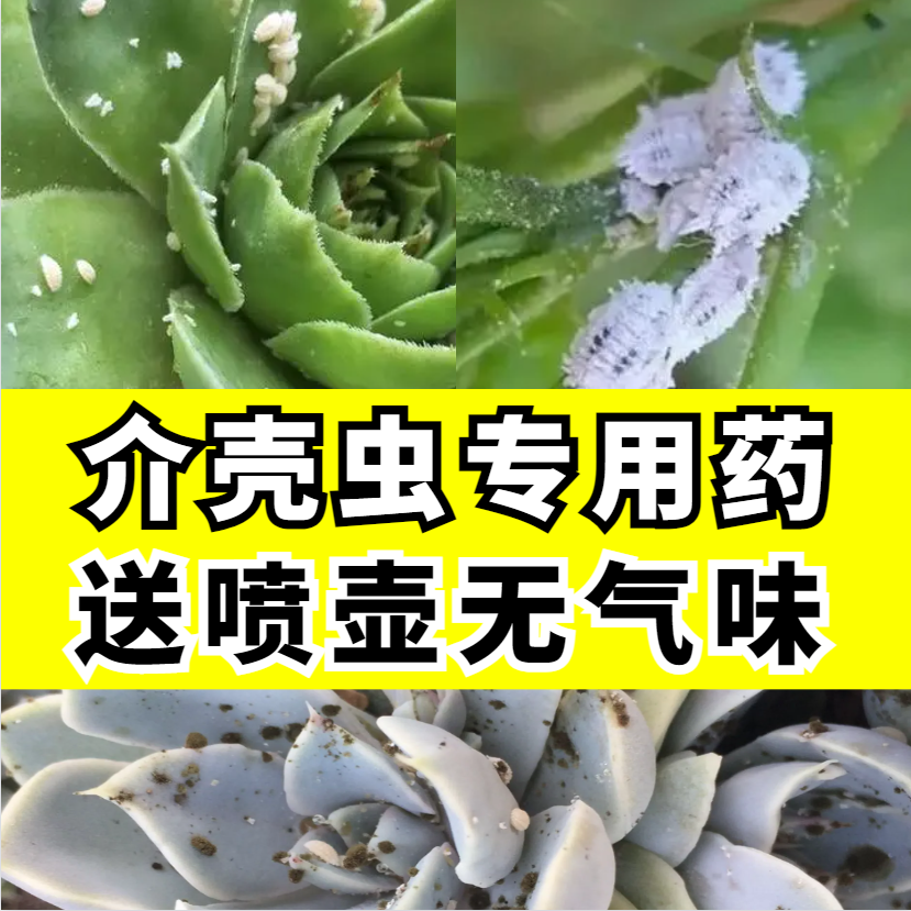 蚧壳虫杀虫剂无气味送喷壶