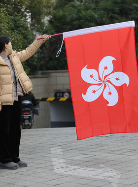 香港区旗4号香港144X96cm紫荆花旗帜香港特区户外旗3号旗帜户外旗