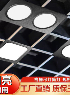 方形筒灯嵌入式双头筒灯LED格栅射灯单头斗胆灯网格吊顶专用10*20