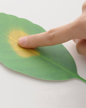 树叶变色温度计 随气温高低变换Leaf Termometer创意家居 日本+D