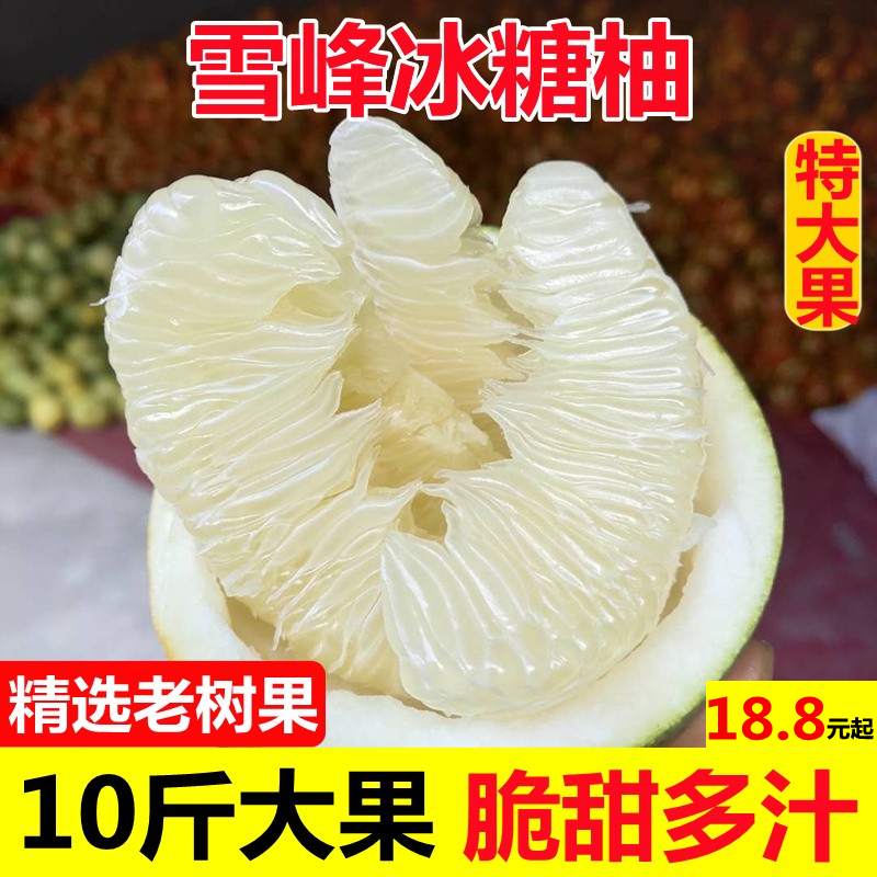 湖南雪峰冰糖柚新鲜怀化安江老树小苦柚药柚子安福金兰柚带箱10斤