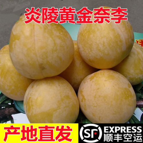 现摘湖南炎陵新鲜当季水果