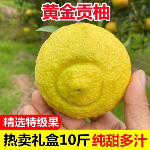 湖南黄金贡柚纯甜无酸10斤包邮