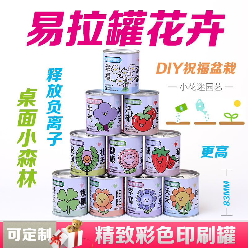 儿童绿植小盆栽学生种植罐头办公室神奇植物室内植物盲盒定制批发