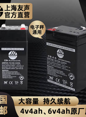 上海友声电子秤蓄电池电瓶4v/4ah/20hr蓄电池友声电子秤配件6v