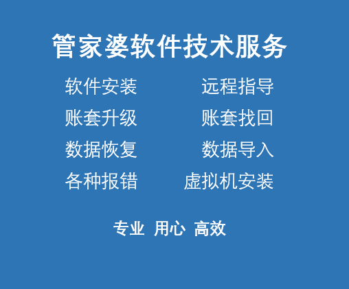 管家婆辉煌版财贸版工贸版服装版技术服务远程解决问题数据修复