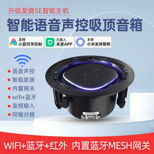 发烧SE智能语音吸顶音箱小爱同学声控智能家居无线WIFI蓝牙喇叭