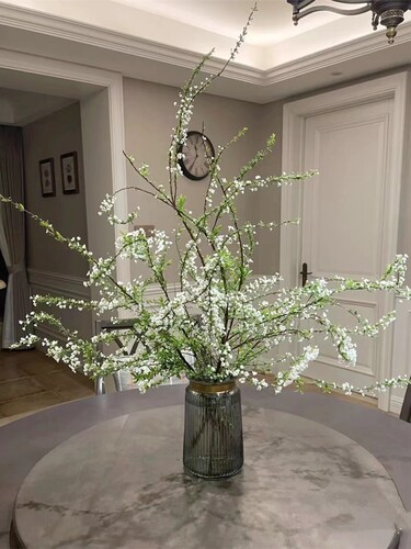 雪柳干枝家庭水养新鲜切枝室内瓶插花养成系桌面观赏乌鲁木齐同城