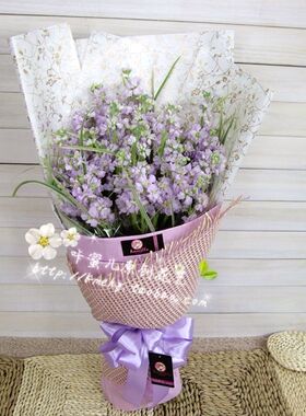 平凡相恋~新疆花店乌鲁木齐实体原创花束实拍同城速递紫罗兰花束