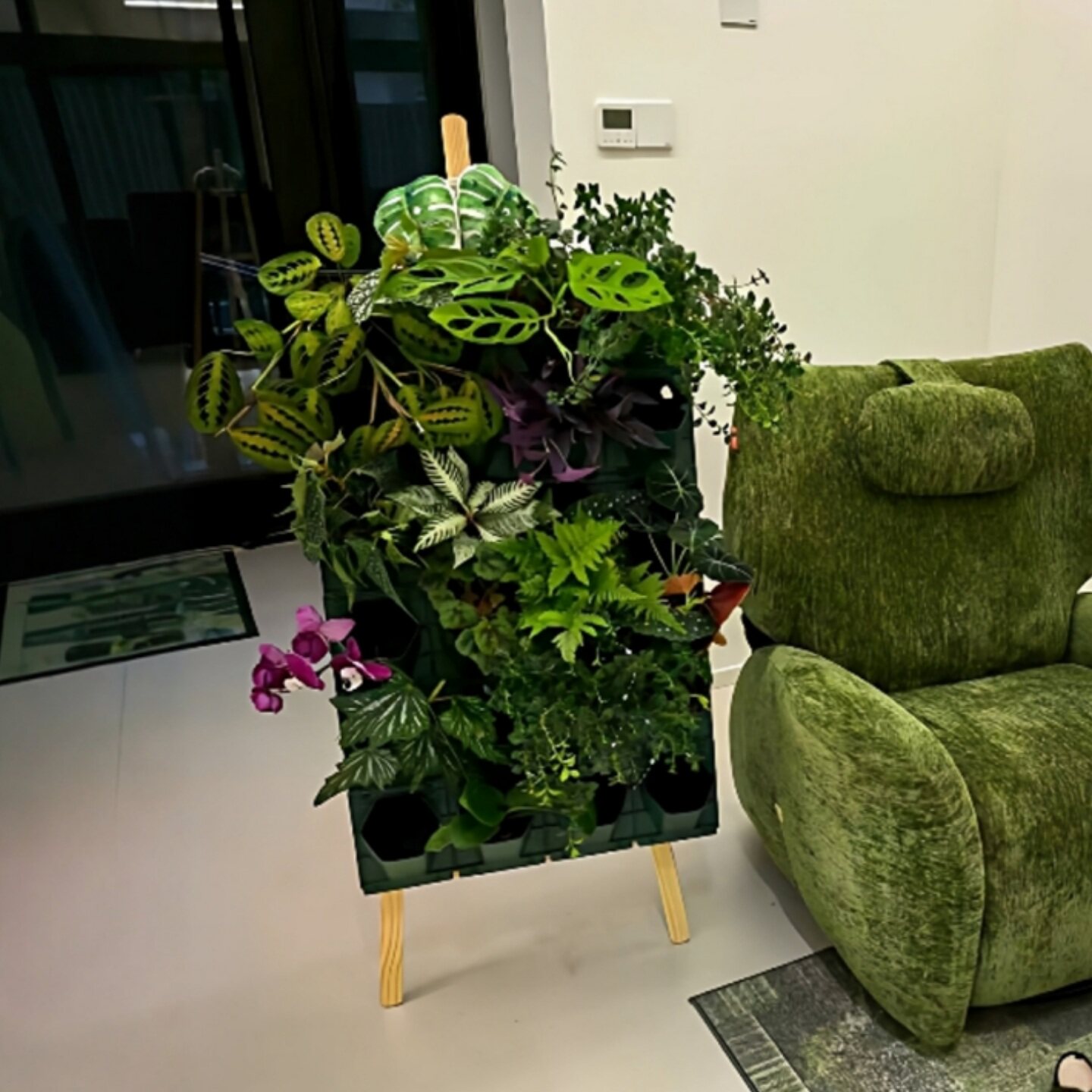 小红书同款画架植物墙植物盒图片