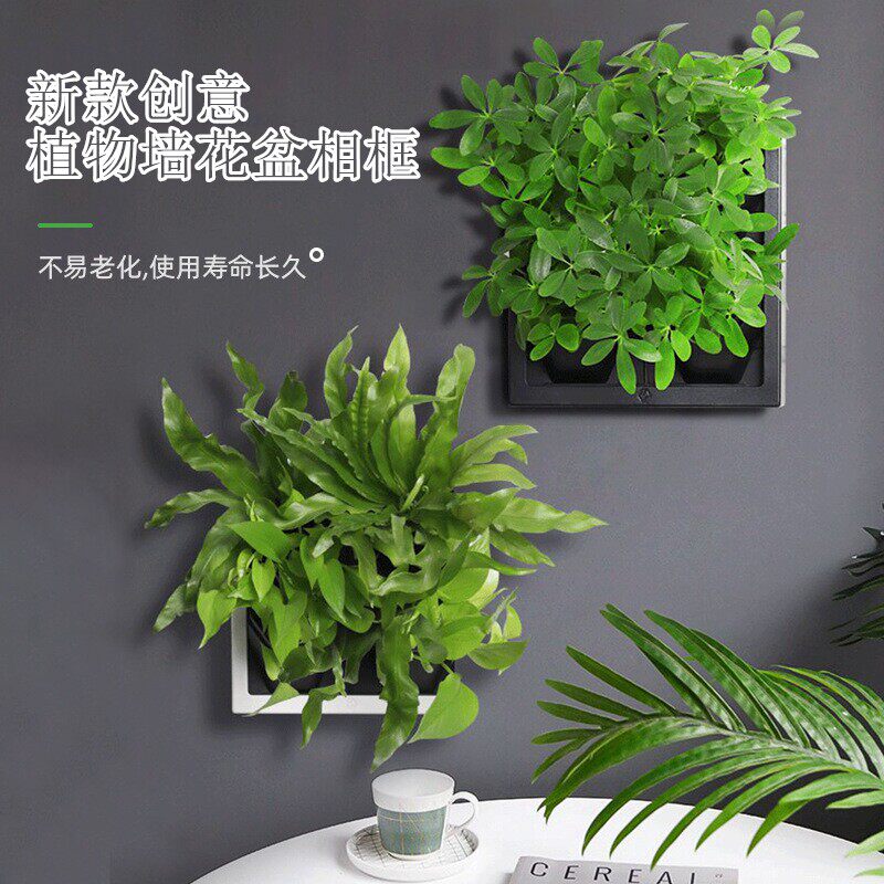 真绿植壁挂式花盆创意塑料相框花盆家居装饰立体植物墙蜂巢种植盒