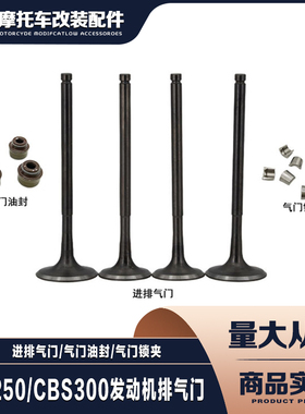 波速尔 极盗者 战狼越野车NC250 CBS300发动机进排气门 油封 锁夹