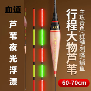 血道芦苇大物夜光漂珠珠螺蛳颗粒加长行程接口青鱼草鱼翘嘴电子漂
