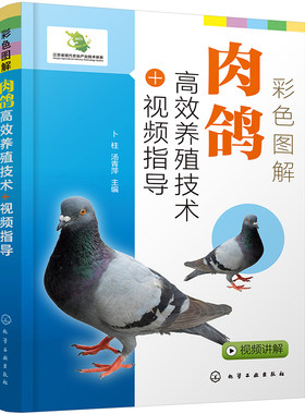 彩色图解肉鸽养殖技术视频指导