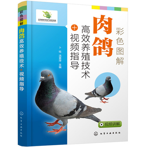 彩色图解肉鸽养殖技术视频指导