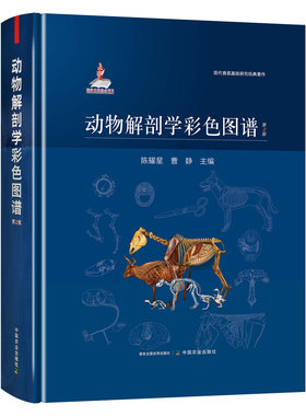 正品全新质量保证包装仔细