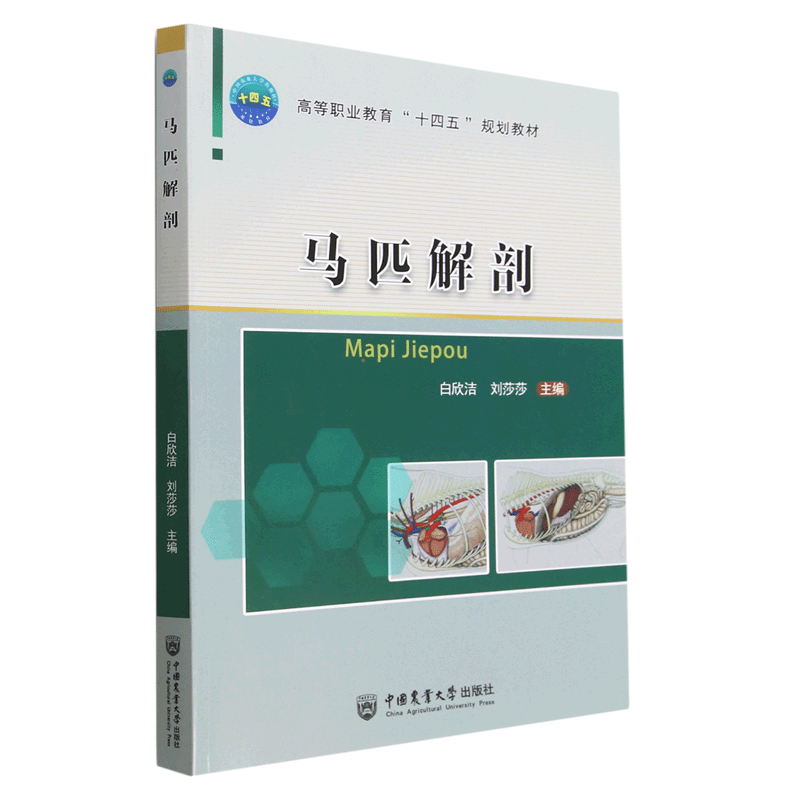 马解剖学马的解剖正品现货速发