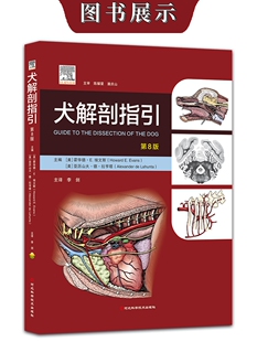 犬解剖指引 第8版八版 犬局部解剖学彩色图谱  霍华德·E.埃文斯主编 李剑主译  犬解剖学9787571718602