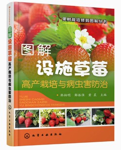 果树栽培修剪图解丛书 图解设施草莓高产栽培与病虫害防治 社 化学工业出版 9787122323484韩柏明