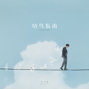官方 毛不易 幼鸟指南 CD+飞行日志+歌词本 轻装出行版专辑