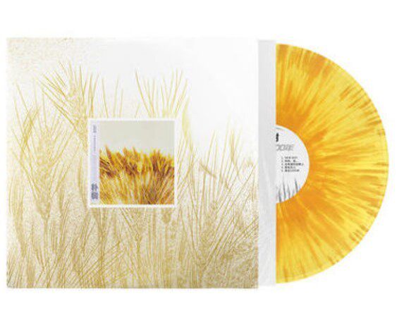 官方正版 朴树专辑 我去2000年 lp黑胶唱片-黄色彩胶 12寸