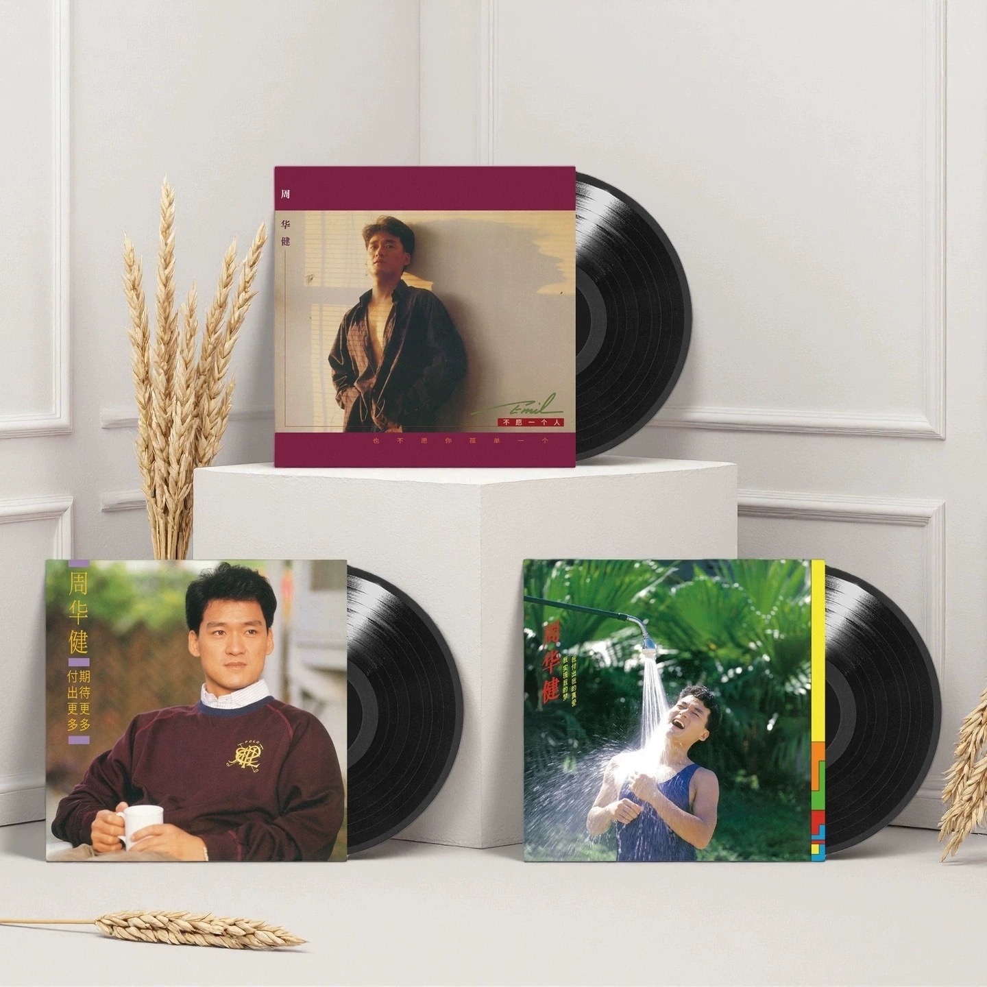 正版 周华健专辑 留声机黑胶唱片12寸碟片 经典流行音乐歌曲