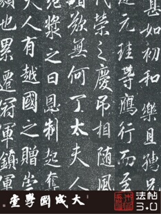 唐张少悌高力士墓志铭初拓 真正1:1真正超清复制行楷书字帖书法绢