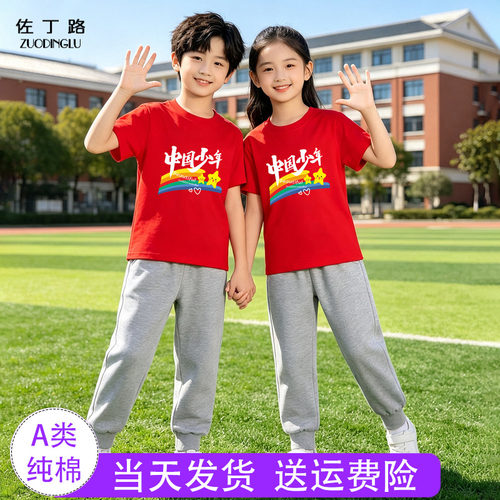 国庆儿童红色t恤纯棉 幼儿园小学生班服男童女童短袖灰色长裤套装
