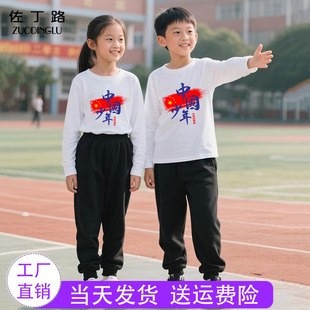 纯棉上白下黑套装儿童 幼儿园班服男童女童初中小学生运动会服装