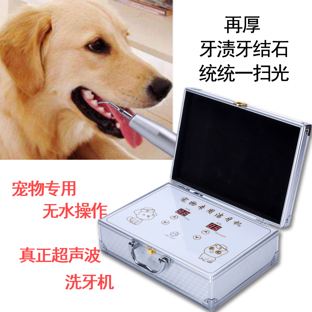 宠物狗狗去牙结石牙渍洗牙机家用