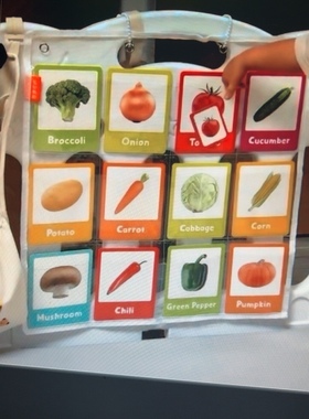 定制flash card香港12格全透明宝宝围栏识字卡收纳挂袋认字图画展