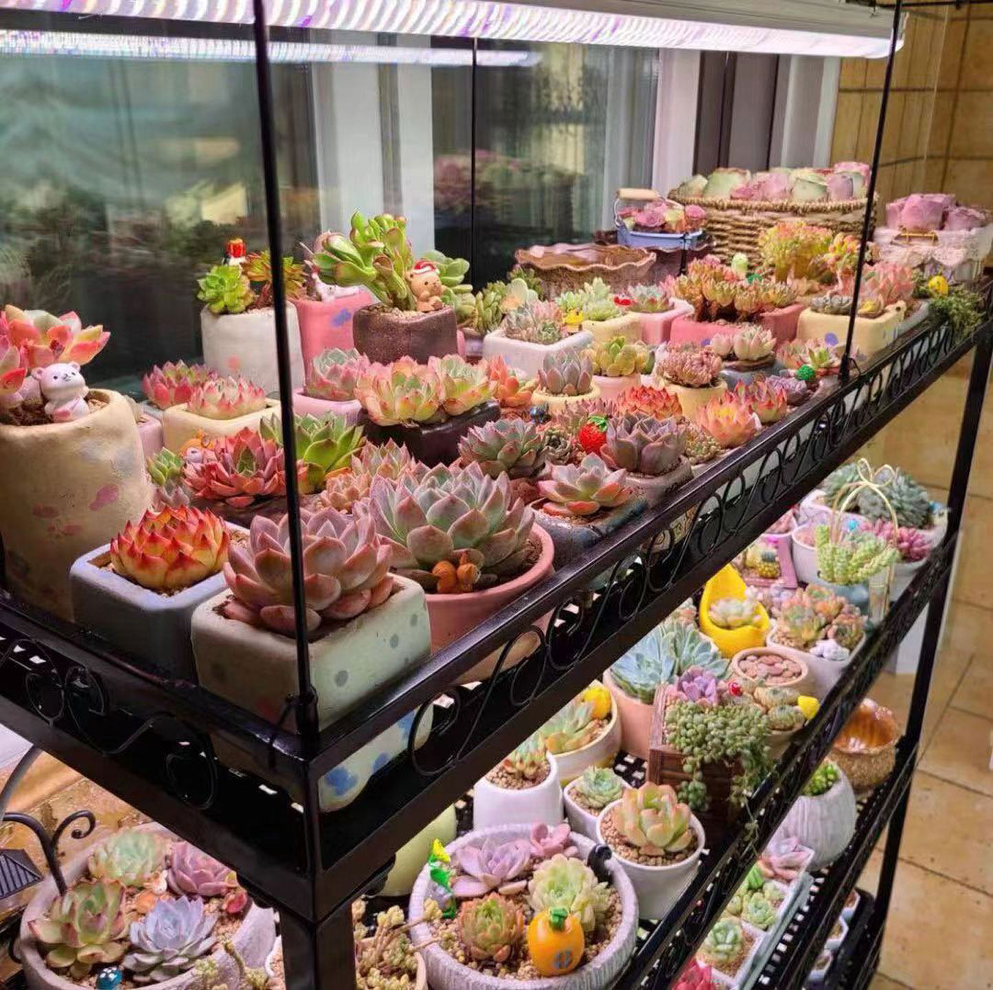 防水T8全光谱仿太阳光多芯LED植物生长补光灯管多肉紫外线UVA