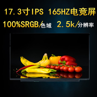 x10ti 蛟龙7 机械革命旷世E 165HZ 深海钛钽plus 2.5K液晶屏幕