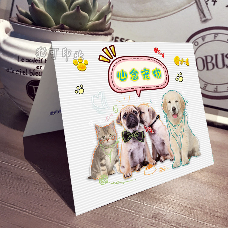 宠物店狗狗猫咪定制定做制作售后服务感谢小卡片打印刷名片设计