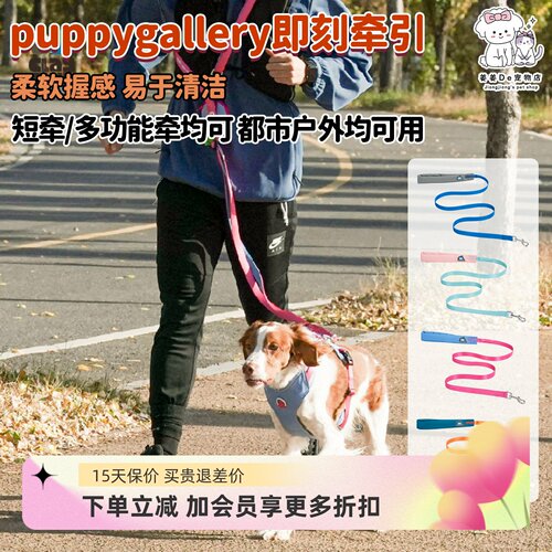 韩国puppygallery即刻狗狗牵引绳