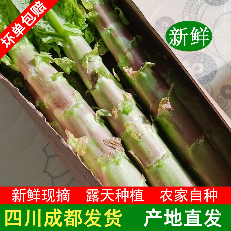 四川成都脆红紫叶莴笋青笋香莴苣绿色蔬菜叶红莴笋3/5/8.5斤包邮,水产肉类/新鲜蔬果/熟食,其它,淘宝优惠券,粉丝福利购,淘宝优惠卷