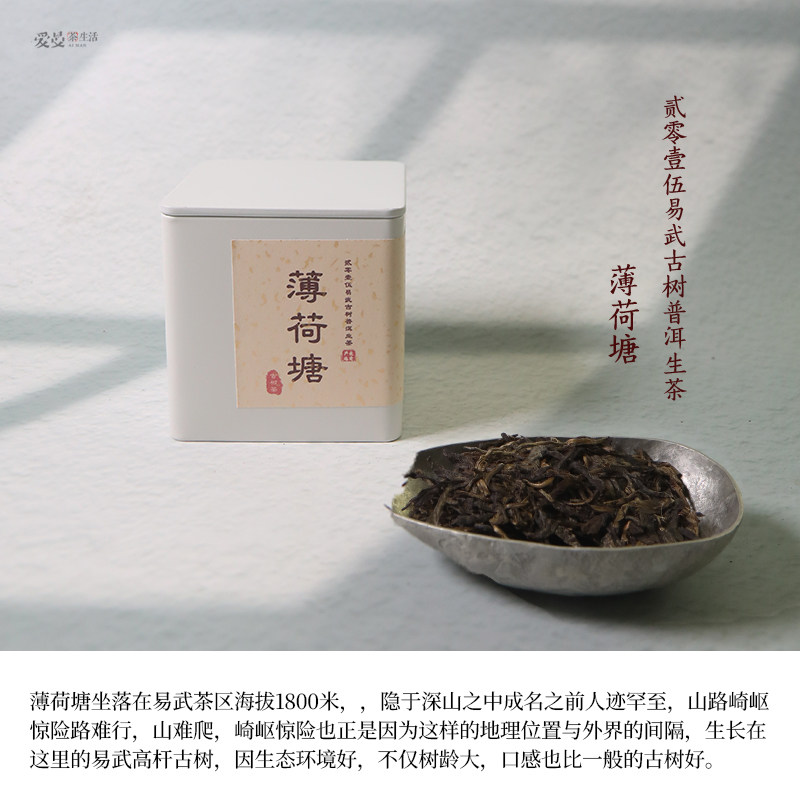 薄荷塘古树普洱茶357g/饼
