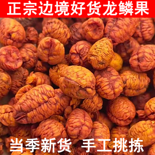 龙鳞果手工挑拣栀子仁茶野生云南栀子正品龙磷果干货龙鳞果茶