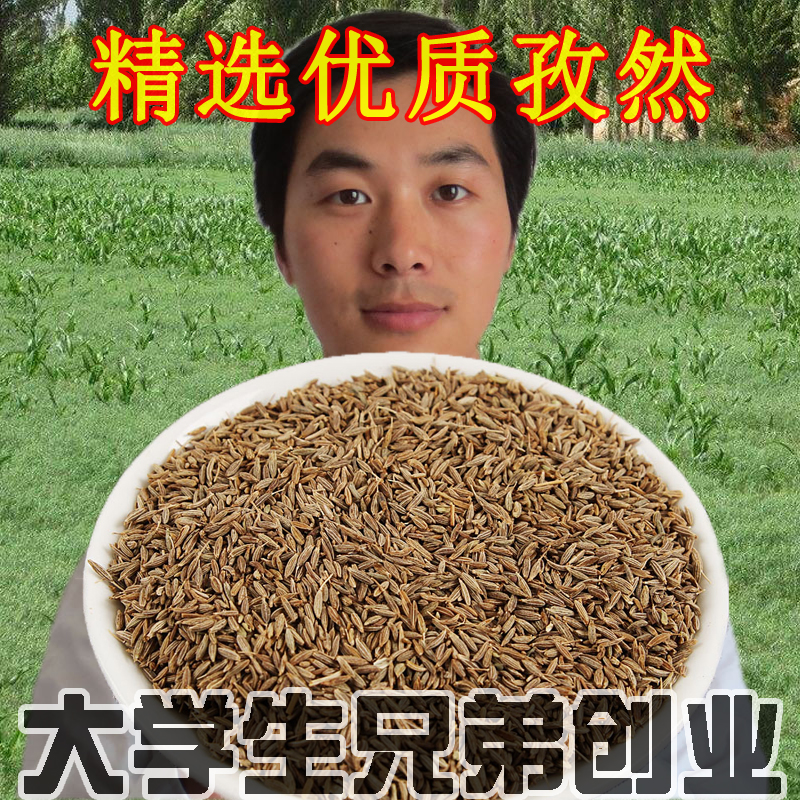 新疆香料调料小吃油炸烤肉孜然粉