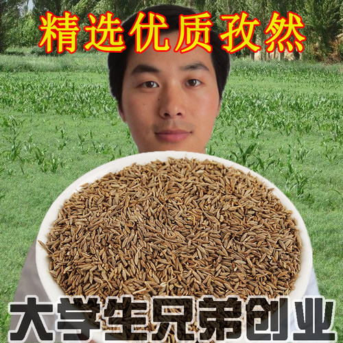 新疆香料调料小吃油炸烤肉孜然粉