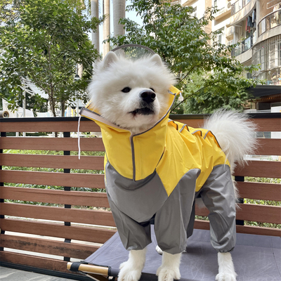 肥皂的日记中大型犬防风雨衣全包